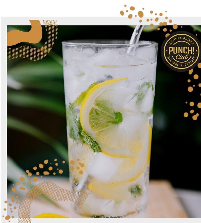 Skinny Bitch / Vodka Soda / Lemon Seltzer
